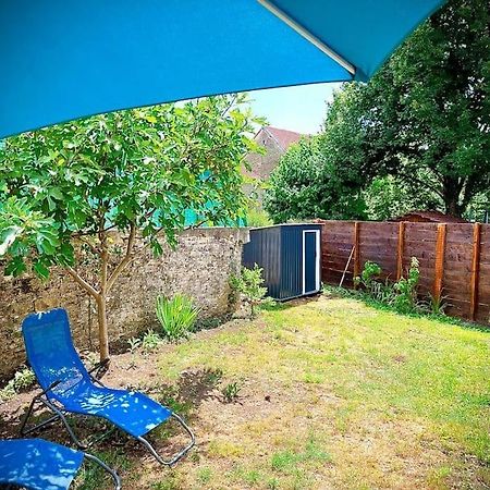 Tres Bel Appartement Avec Jardin Et Jacuzzi Scey-sur-Saone-et-Saint-Albin Eksteriør billede