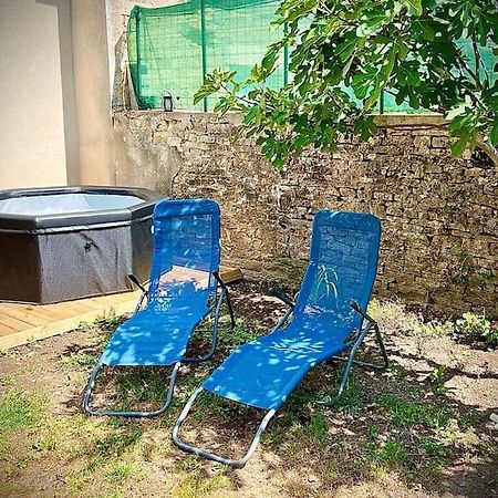 Tres Bel Appartement Avec Jardin Et Jacuzzi Scey-sur-Saone-et-Saint-Albin Eksteriør billede
