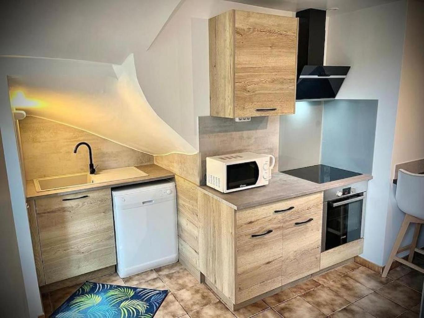 Tres Bel Appartement Avec Jardin Et Jacuzzi Scey-sur-Saone-et-Saint-Albin Eksteriør billede