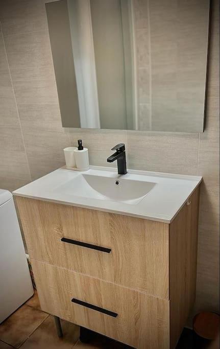 Tres Bel Appartement Avec Jardin Et Jacuzzi Scey-sur-Saone-et-Saint-Albin Eksteriør billede