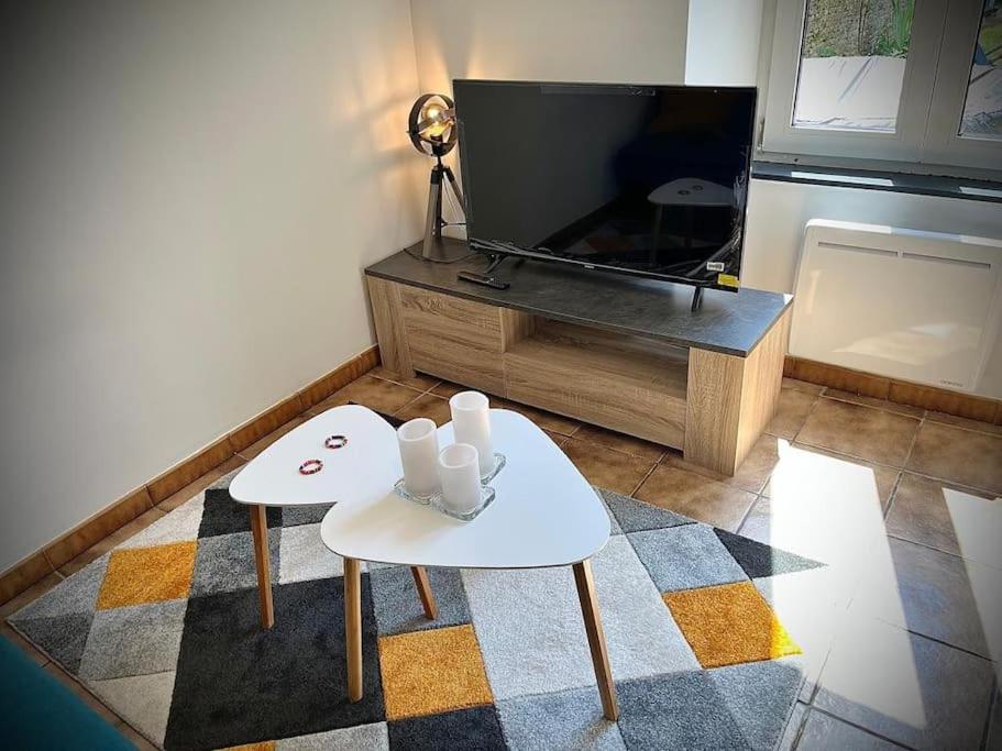 Tres Bel Appartement Avec Jardin Et Jacuzzi Scey-sur-Saone-et-Saint-Albin Eksteriør billede